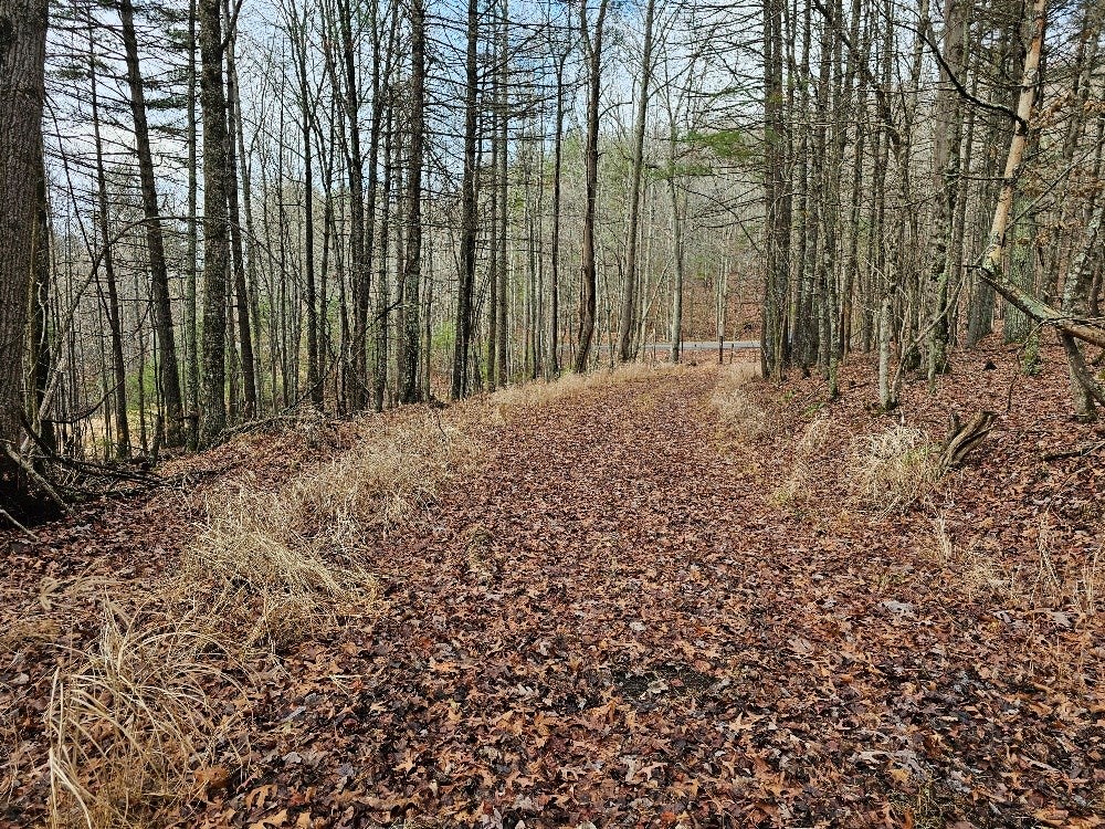 Tbd Iron Ridge Road Galax, VA 24333 - Photo 4 of 4 Gallery Image 4