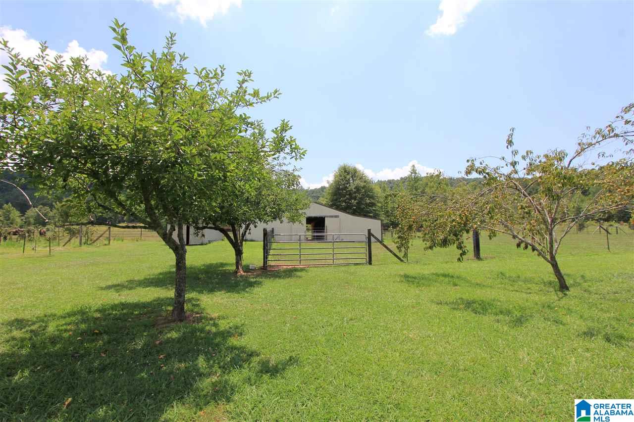 588 Seven Springs Road Wellington, AL 36279 - Photo 25 of 50
