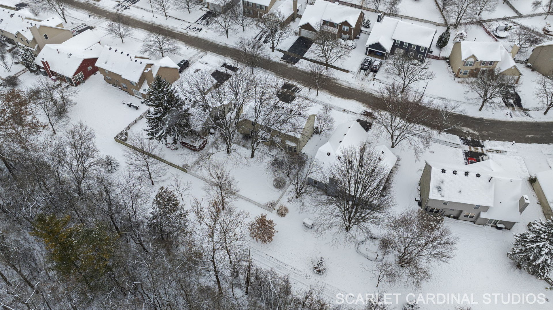 295 Meadowview Lane Aurora, IL 60502 - Photo 35 of 42 a view of a tree in front of a building