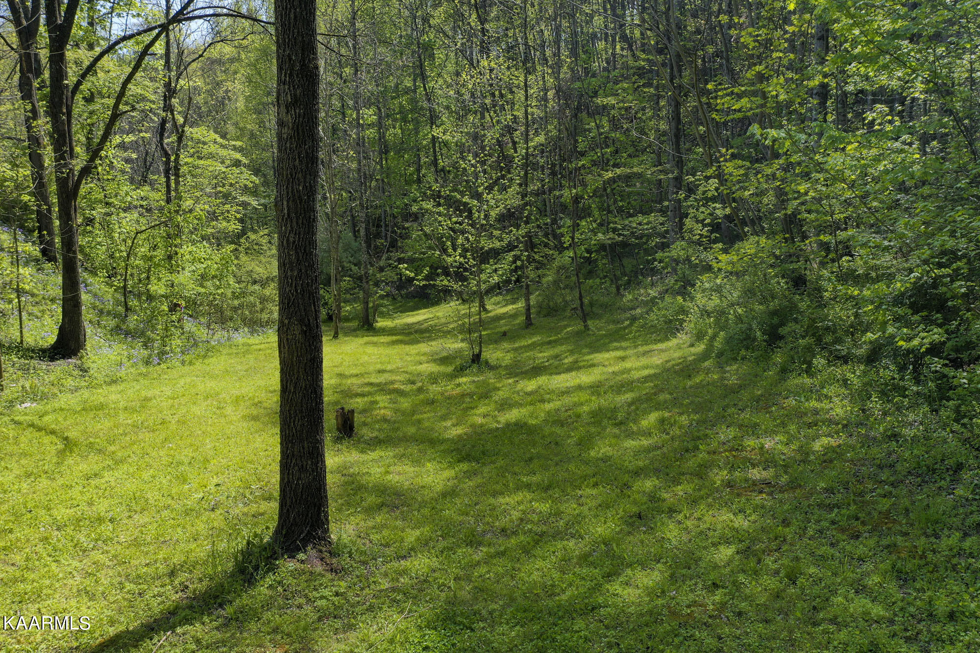 Lot 3-4 Flat Branch Road Sevierville, TN 37876 - Photo 14 of 37 3_16