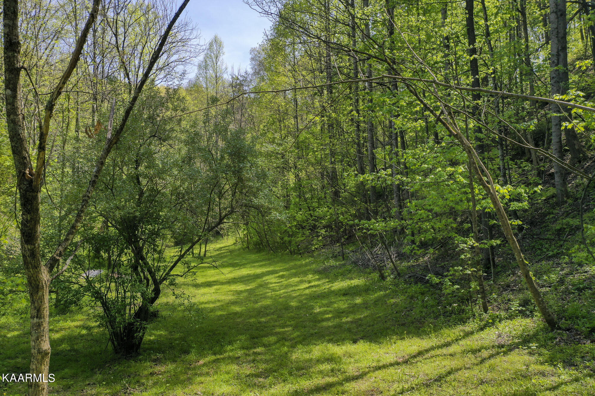 Lot 3-4 Flat Branch Road Sevierville, TN 37876 - Photo 17 of 37 3_21