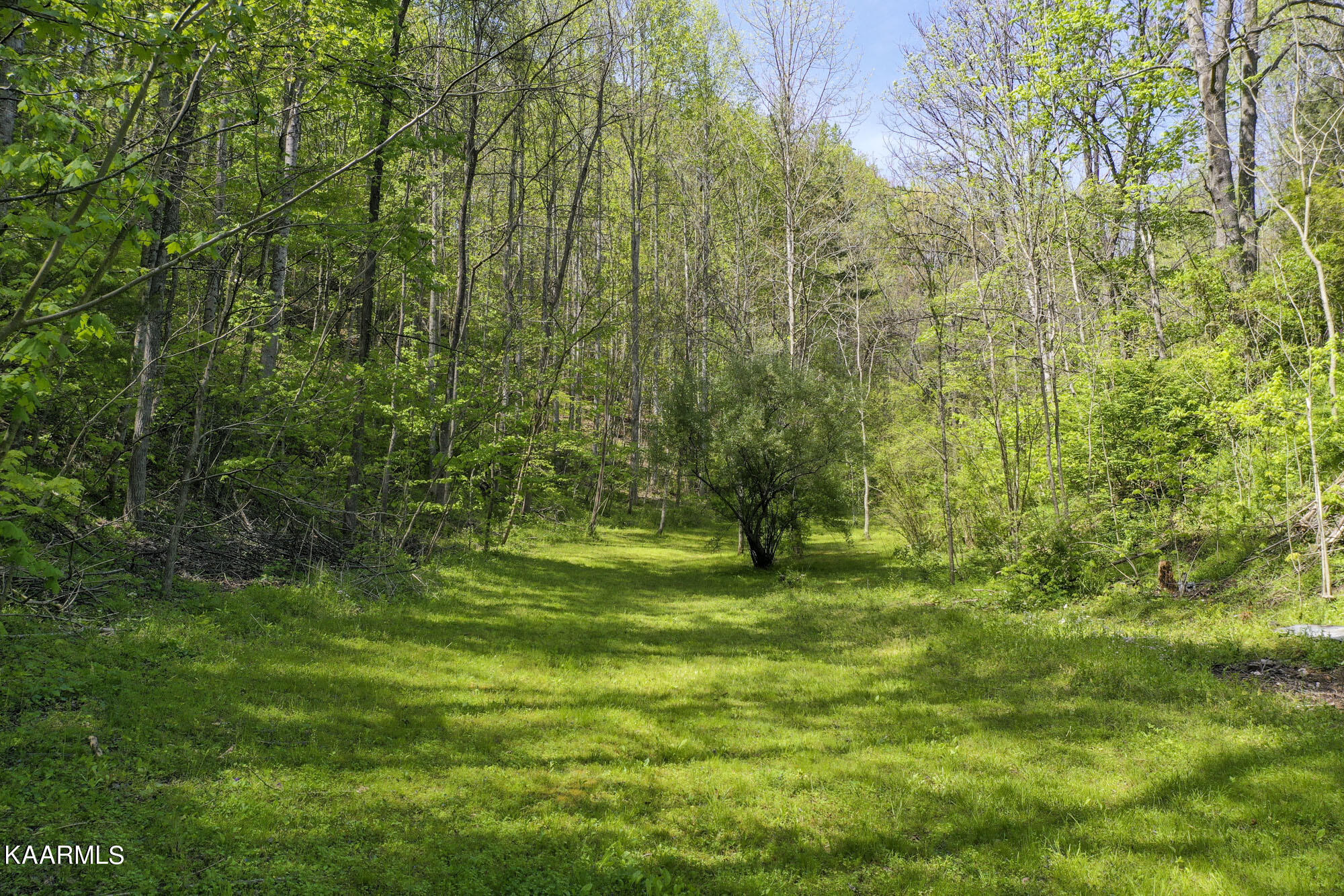 Lot 3-4 Flat Branch Road Sevierville, TN 37876 - Photo 6 of 37 3_03