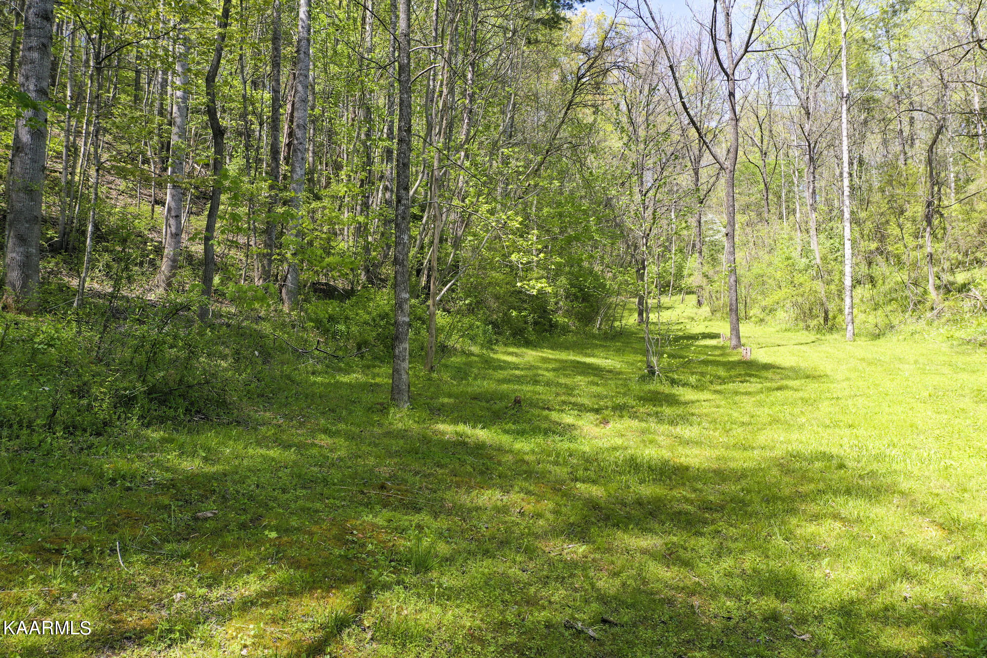 Lot 3-4 Flat Branch Road Sevierville, TN 37876 - Photo 7 of 37 3_06