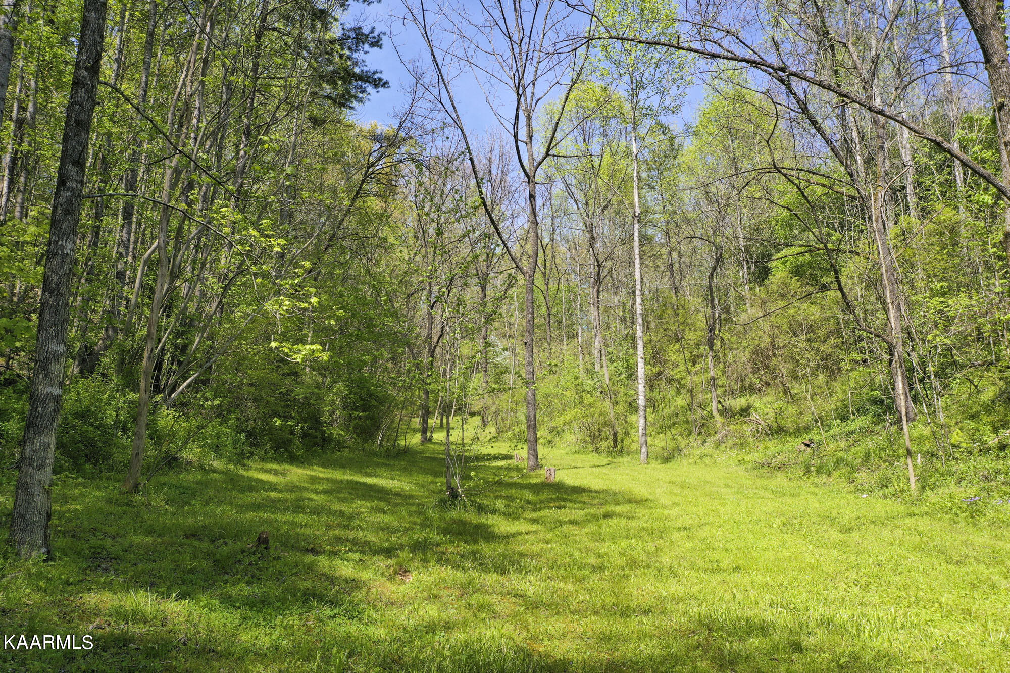 Lot 3-4 Flat Branch Road Sevierville, TN 37876 - Photo 8 of 37 3_07