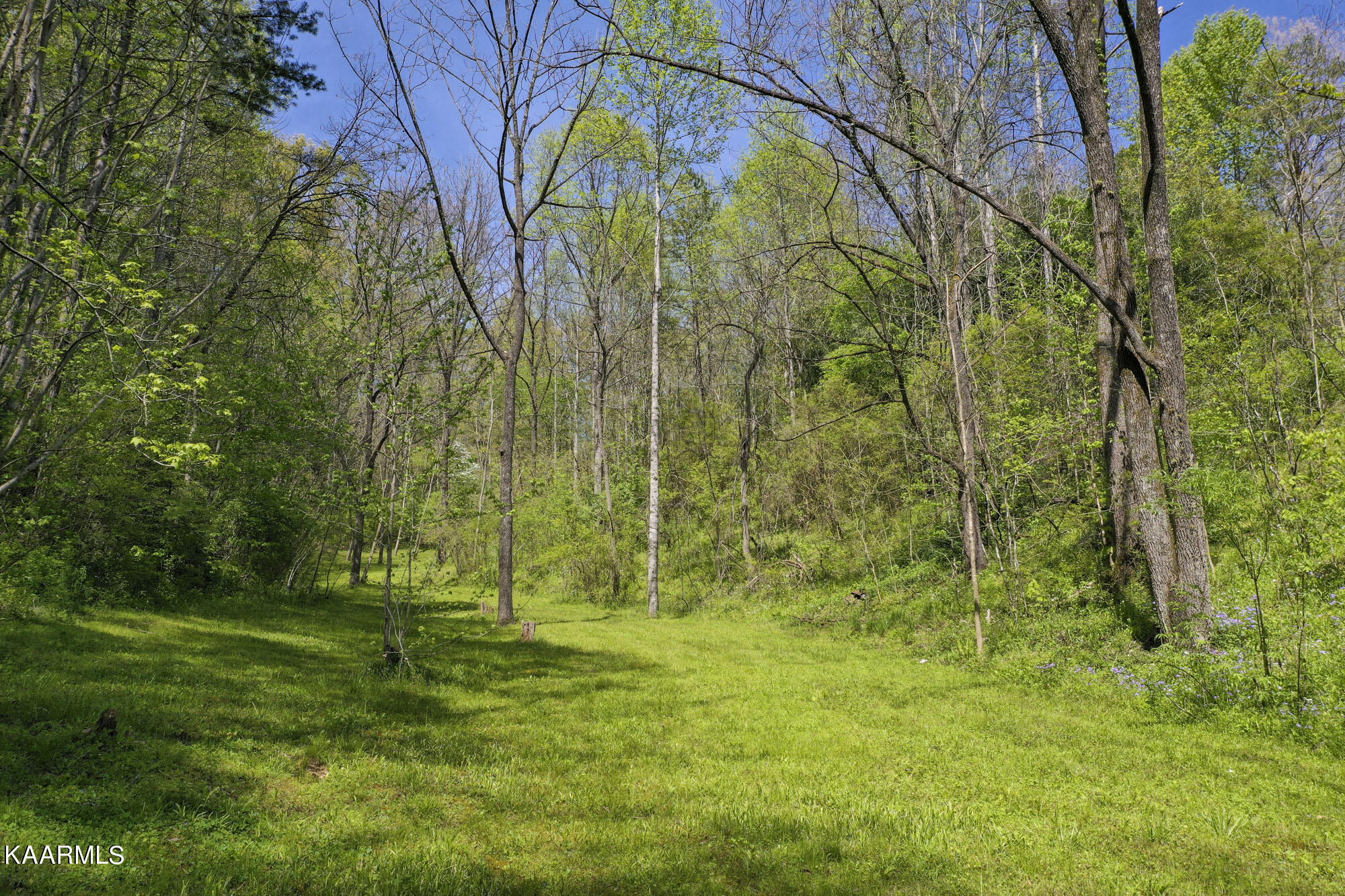 Lot 3-4 Flat Branch Road Sevierville, TN 37876 - Photo 9 of 37 3_08