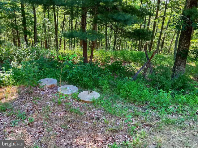 a backyard of a house with plants and trees