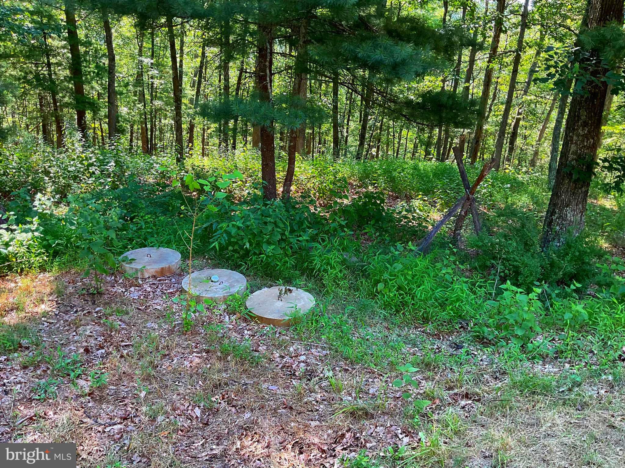 13200 Crossover Road Northeast Flintstone, MD 21530 - Photo 16 of 60 a view of a backyard with a fountain and large trees