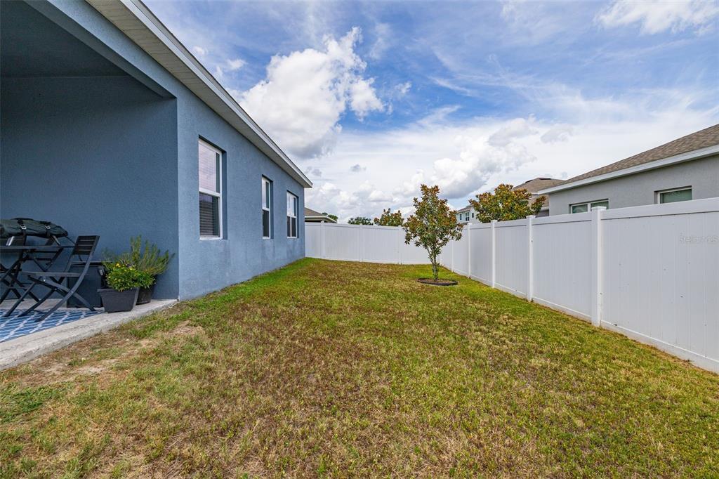 367 August Fern Loop Mount Dora, FL 32757 - Photo 43 of 90