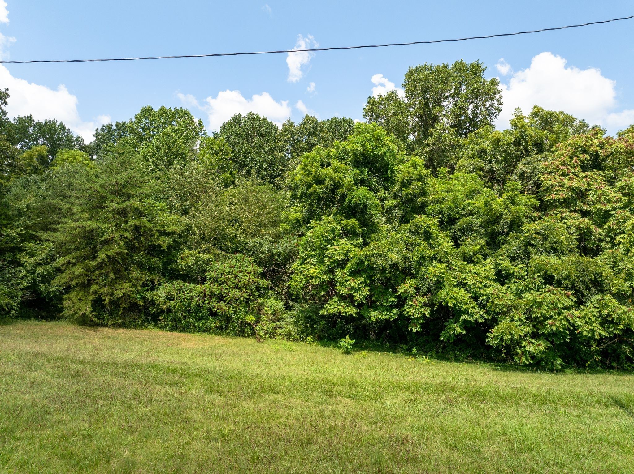 1374 Deal Road Burns, TN 37029 - Photo 11 of 21 a view of a yard with a tree