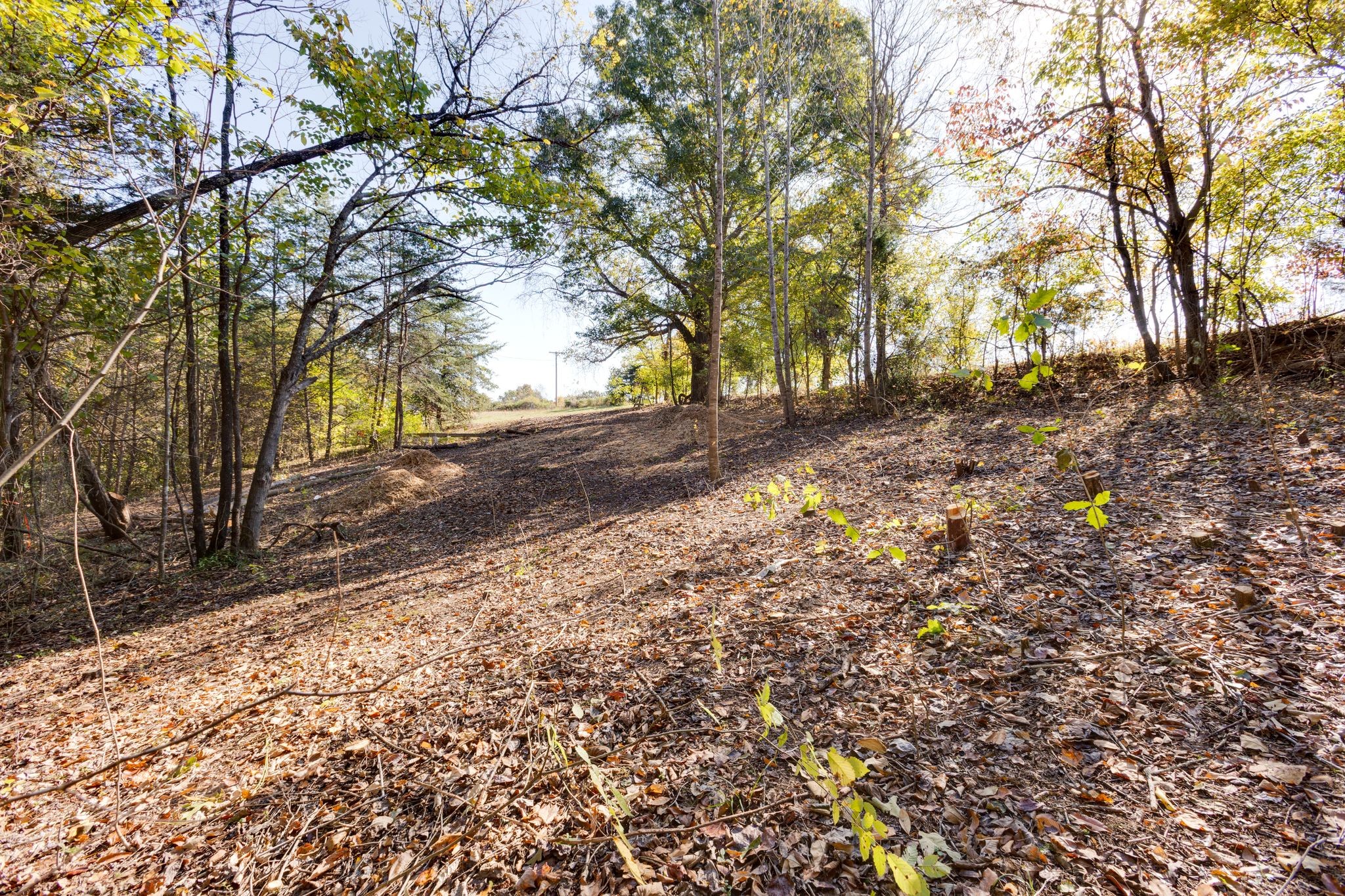 1374 Deal Road Burns, TN 37029 - Photo 14 of 21 a backyard of a house with lots of green space
