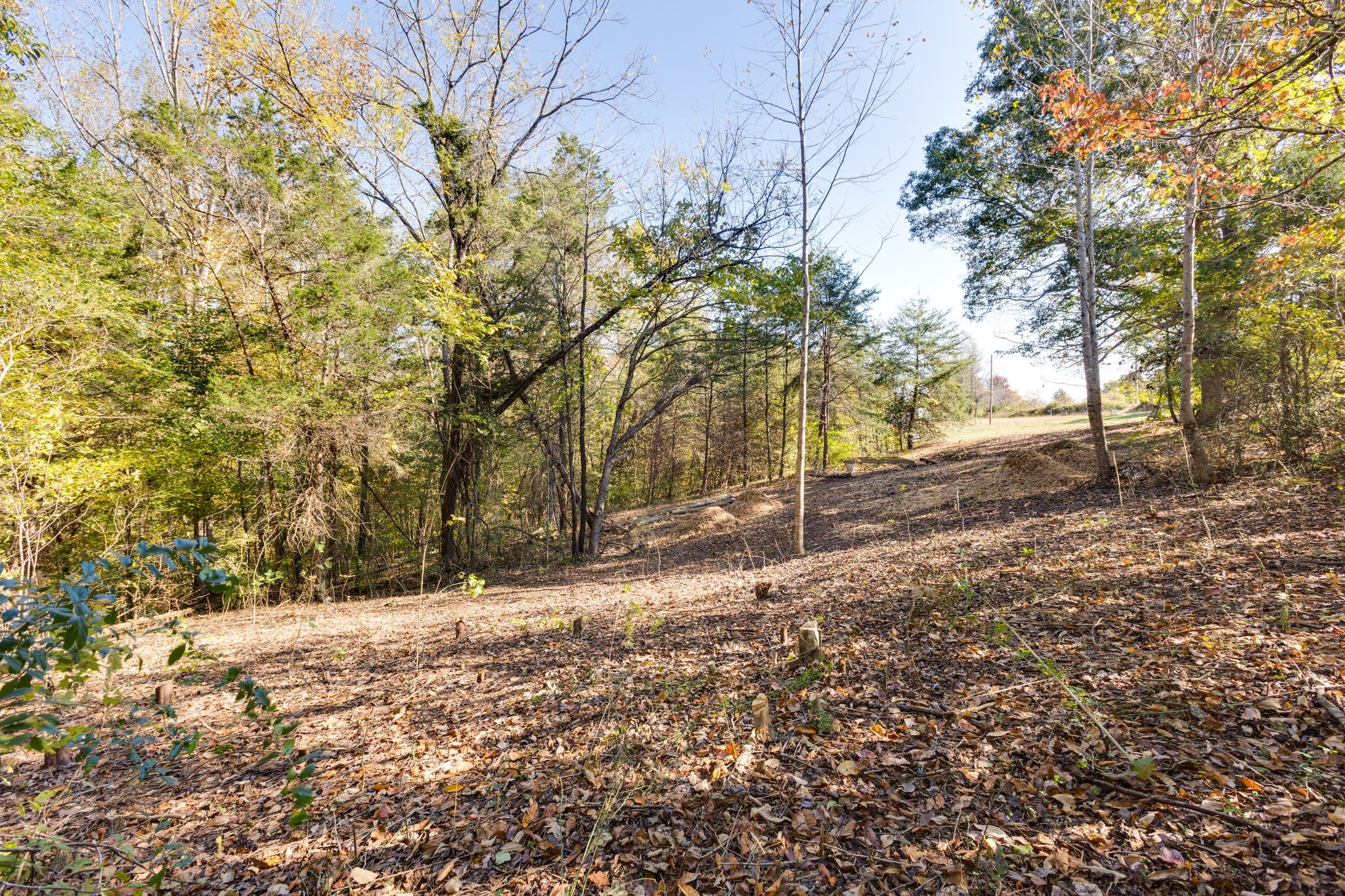 1374 Deal Road Burns, TN 37029 - Photo 19 of 21 a view of snow on the side of a road