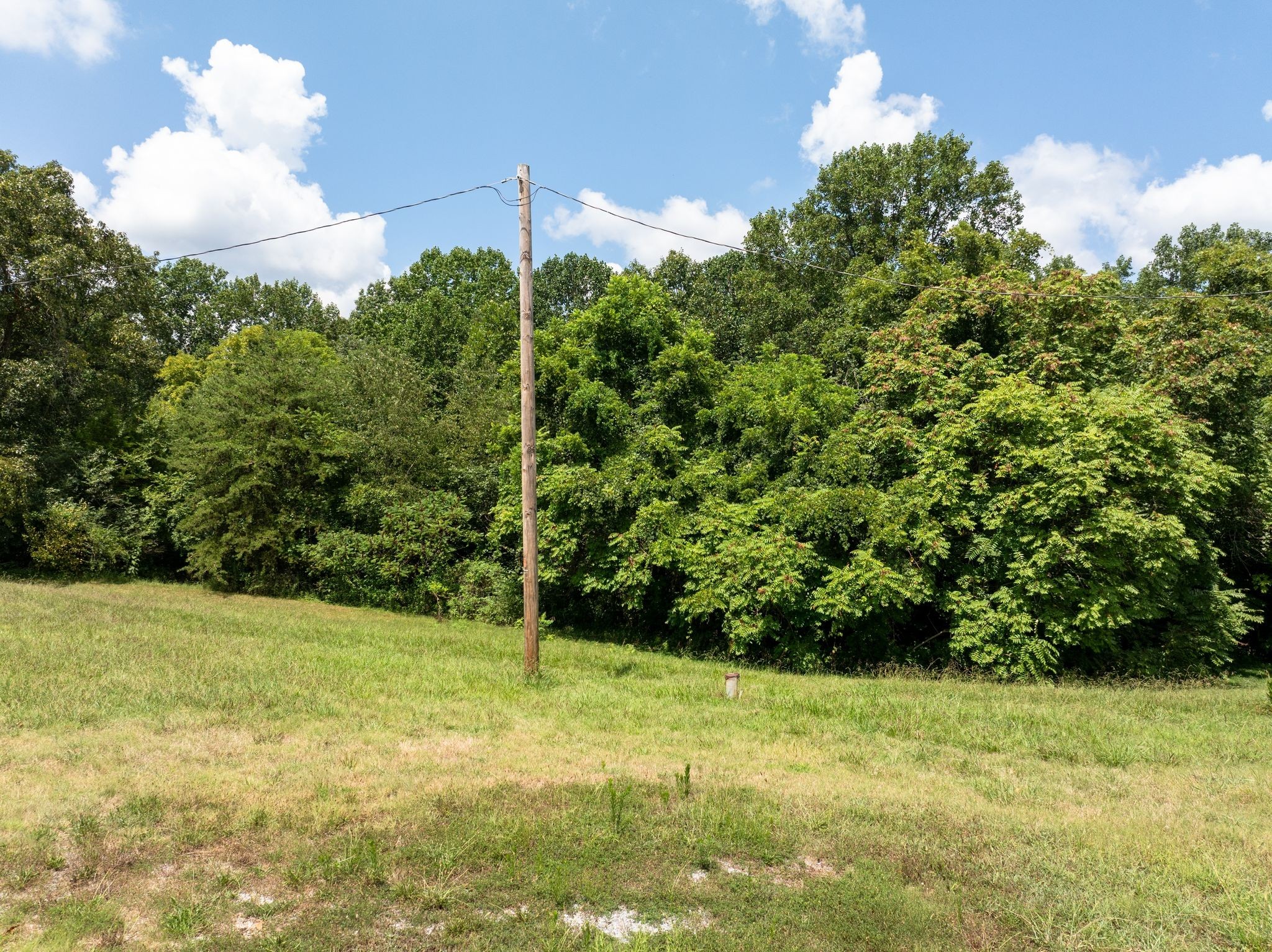 1374 Deal Road Burns, TN 37029 - Photo 10 of 21 a view of a garden with a fountain