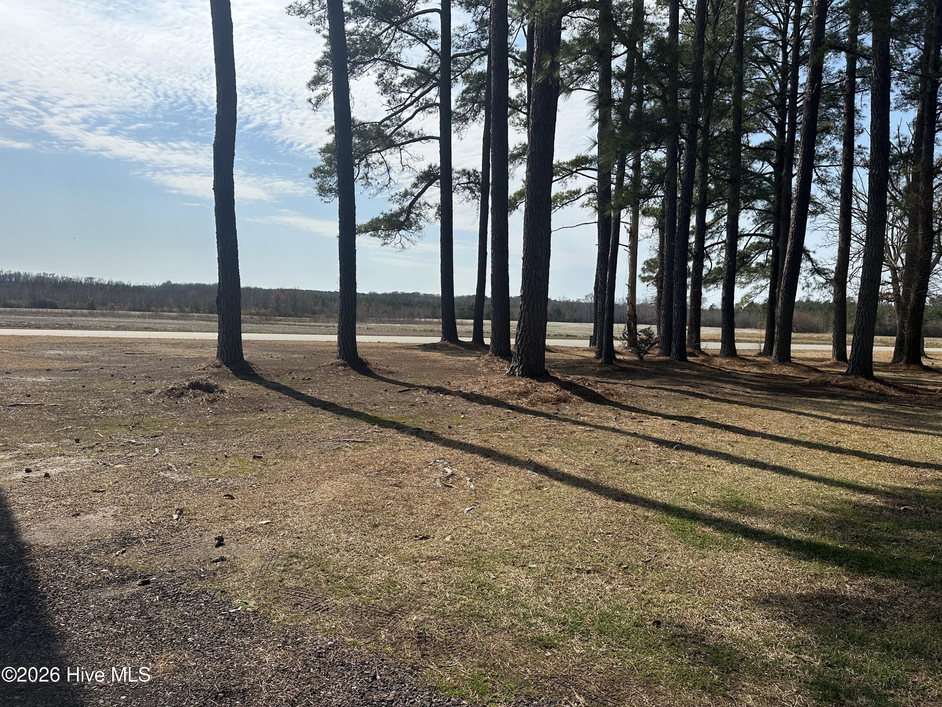 2047 Jenkins Mill Road Conway, NC 27820 - Photo 31 of 32 IMG_4704