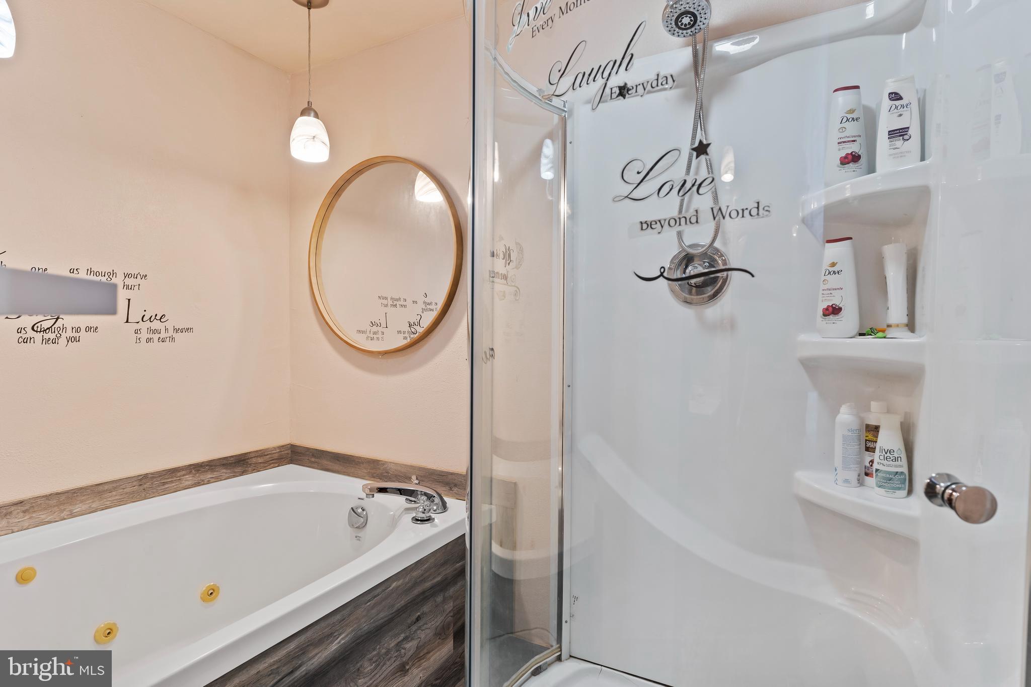 7 Burgners Mill Road Carlisle, PA 17015 - Photo 17 of 26 a bathroom with a tub a sink and a shower