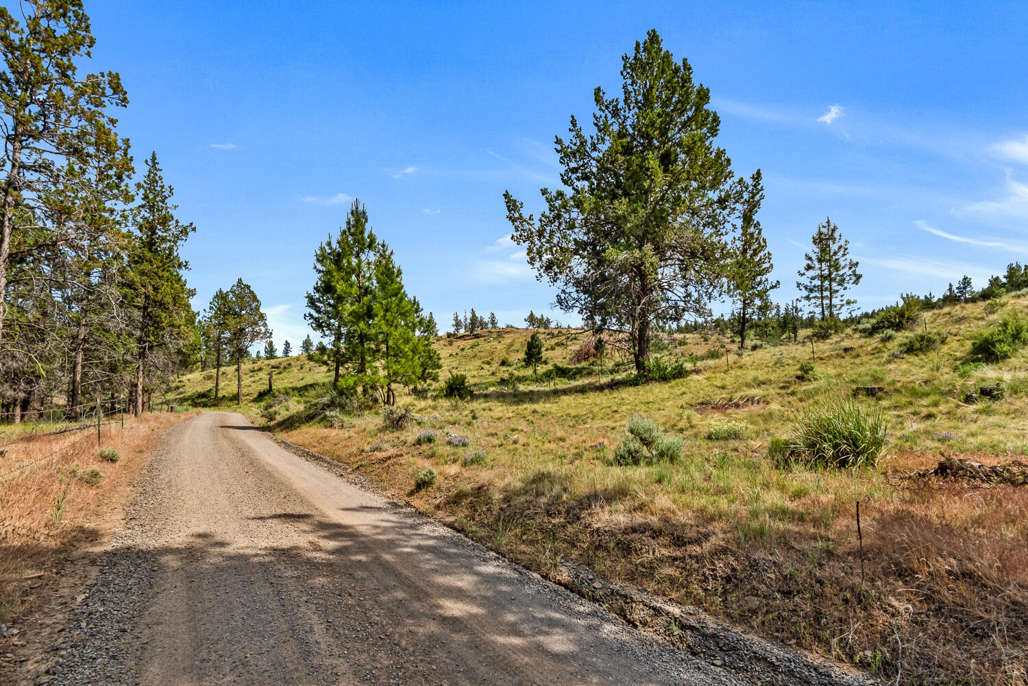 9988 Northeast Cody Ridge Road Prineville, OR 97754 - Photo 46 of 49 Cody Ridge 046