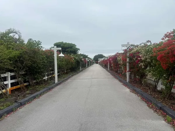 a view of a street with a building in the background