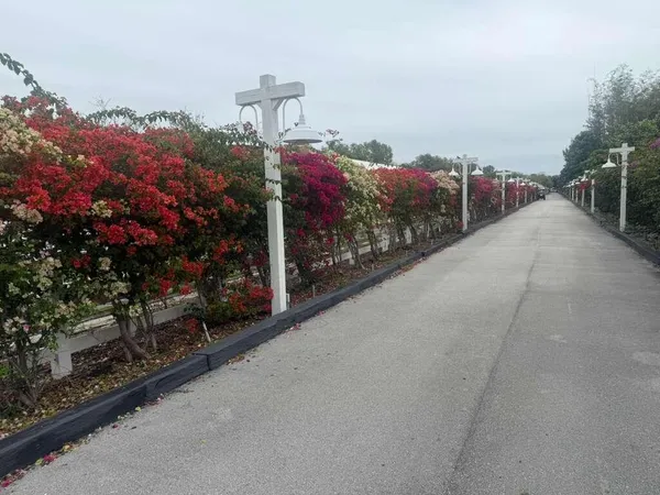 a view of outdoor space with garden view