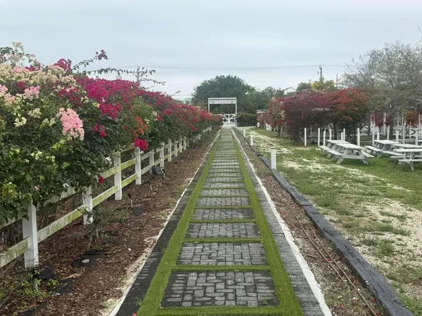 a view of a yard in front of a house