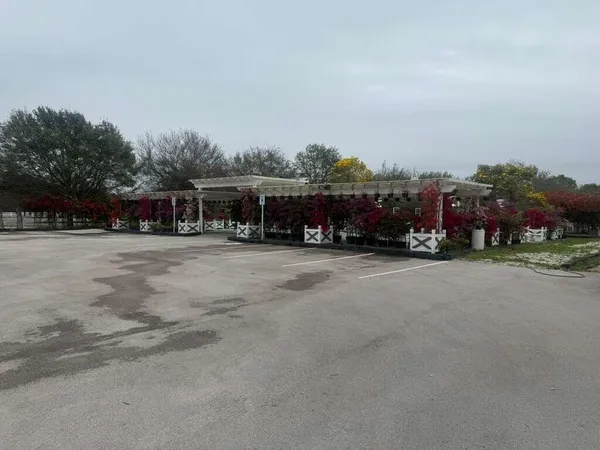 a view of a town with big trees