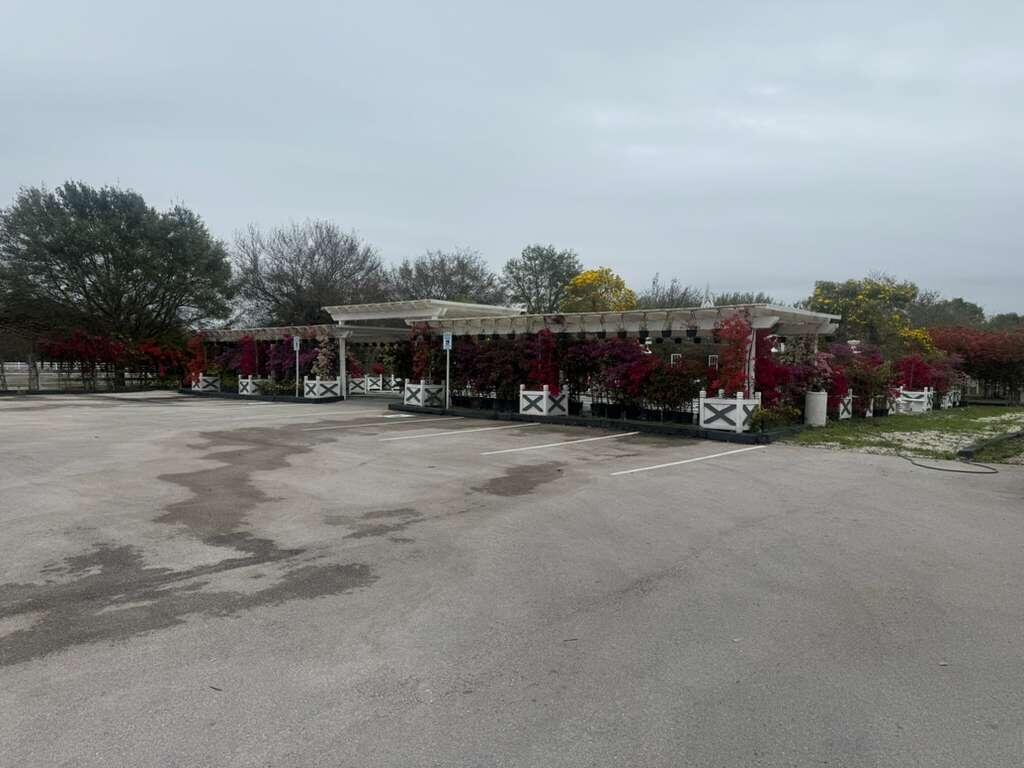 4680 Southwest 148th Avenue Southwest Ranches, FL 33330 - Photo 6 of 15 a view of a town with big trees