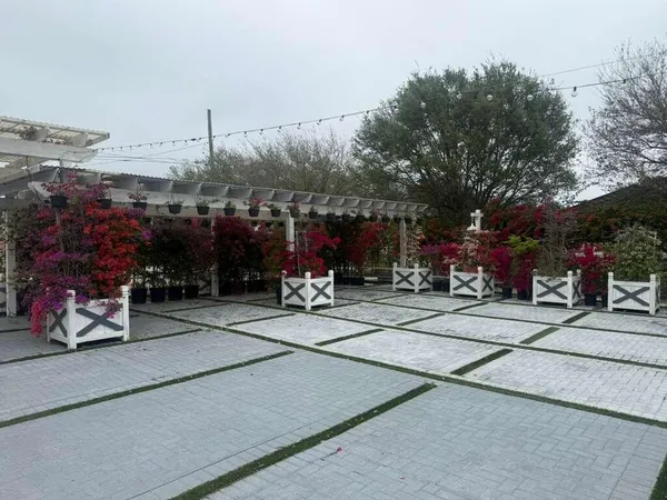 a view of street with parked cars