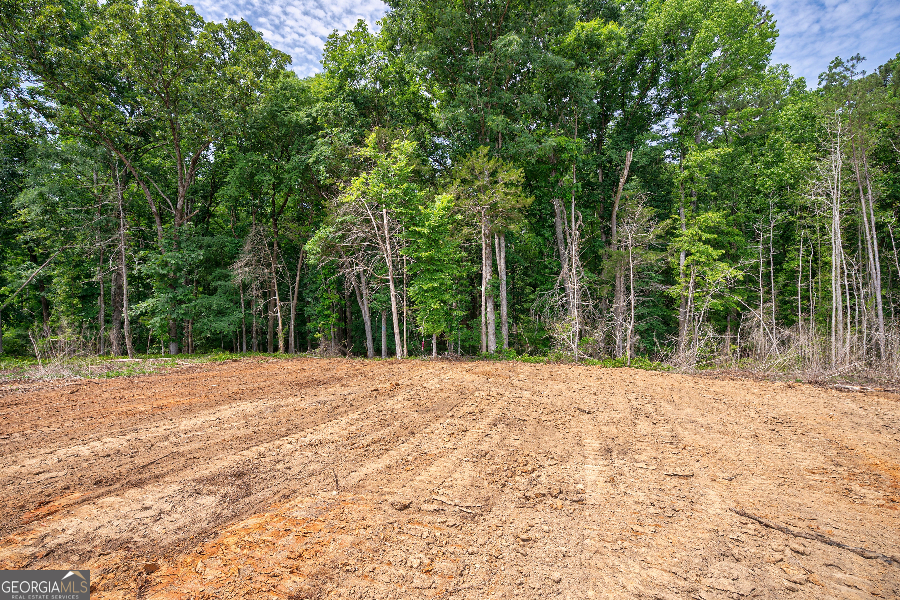 0 Gene Smith Road Carlton, GA 30627 - Photo 24 of 29 a outdoor space with trees in the background