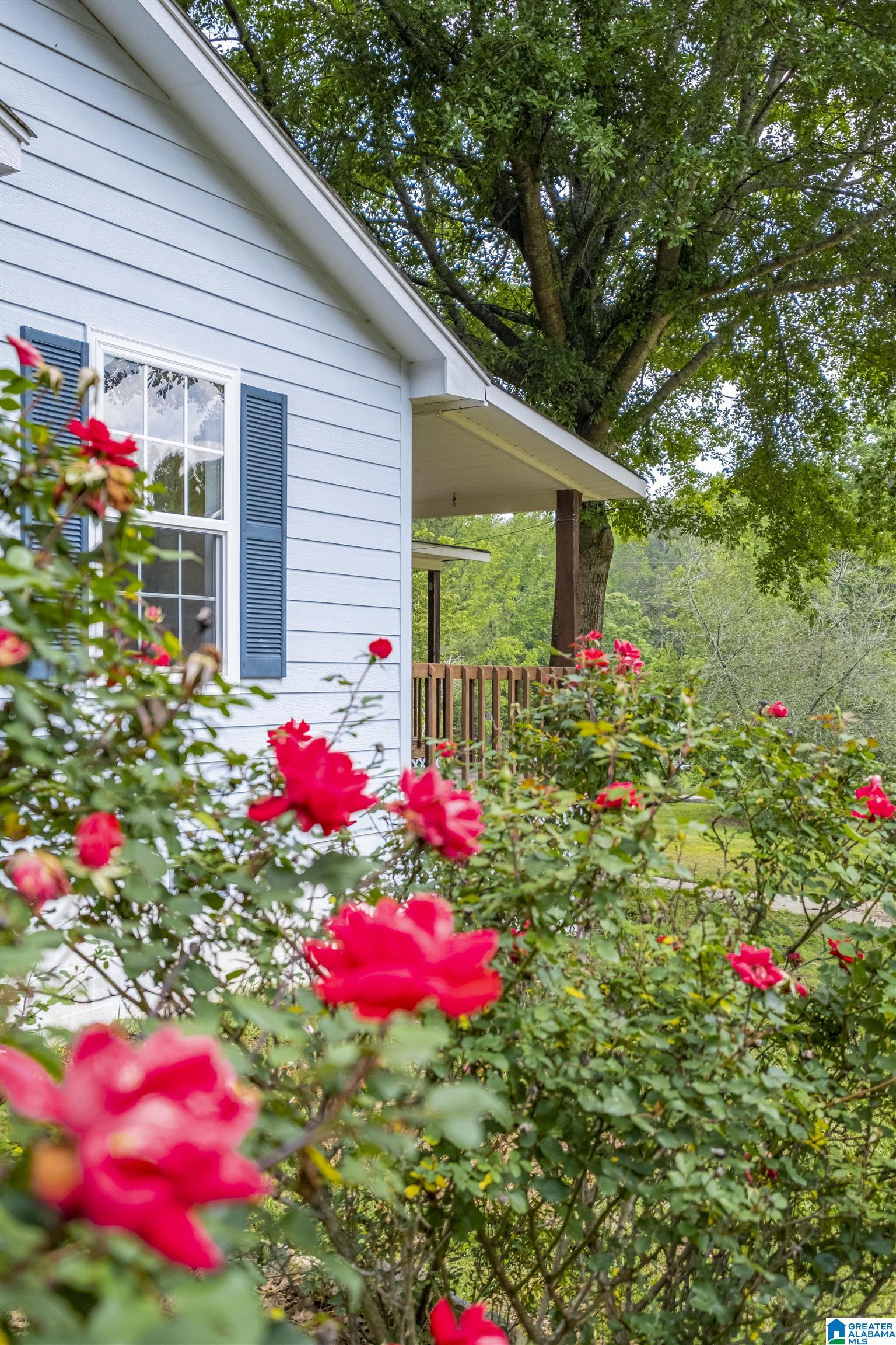 7623 Rabbittown Road Piedmont, AL 36272 - Photo 39 of 46 Gallery Image 39