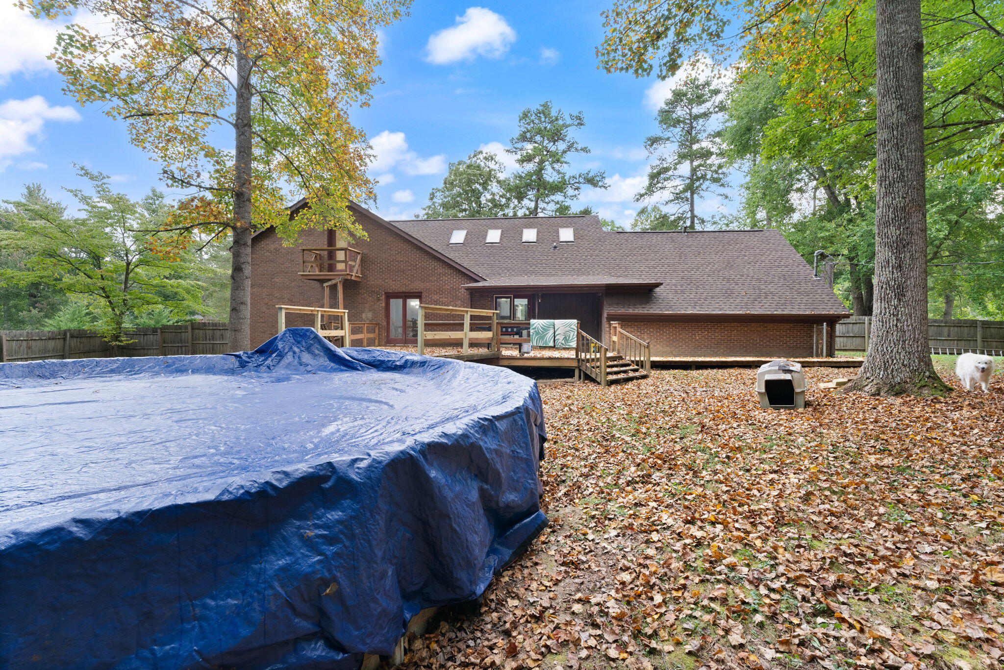 259 Riva Ridge Trail Corbin, KY 40701 - Photo 67 of 88 73-web-or-mls-_DSC9186