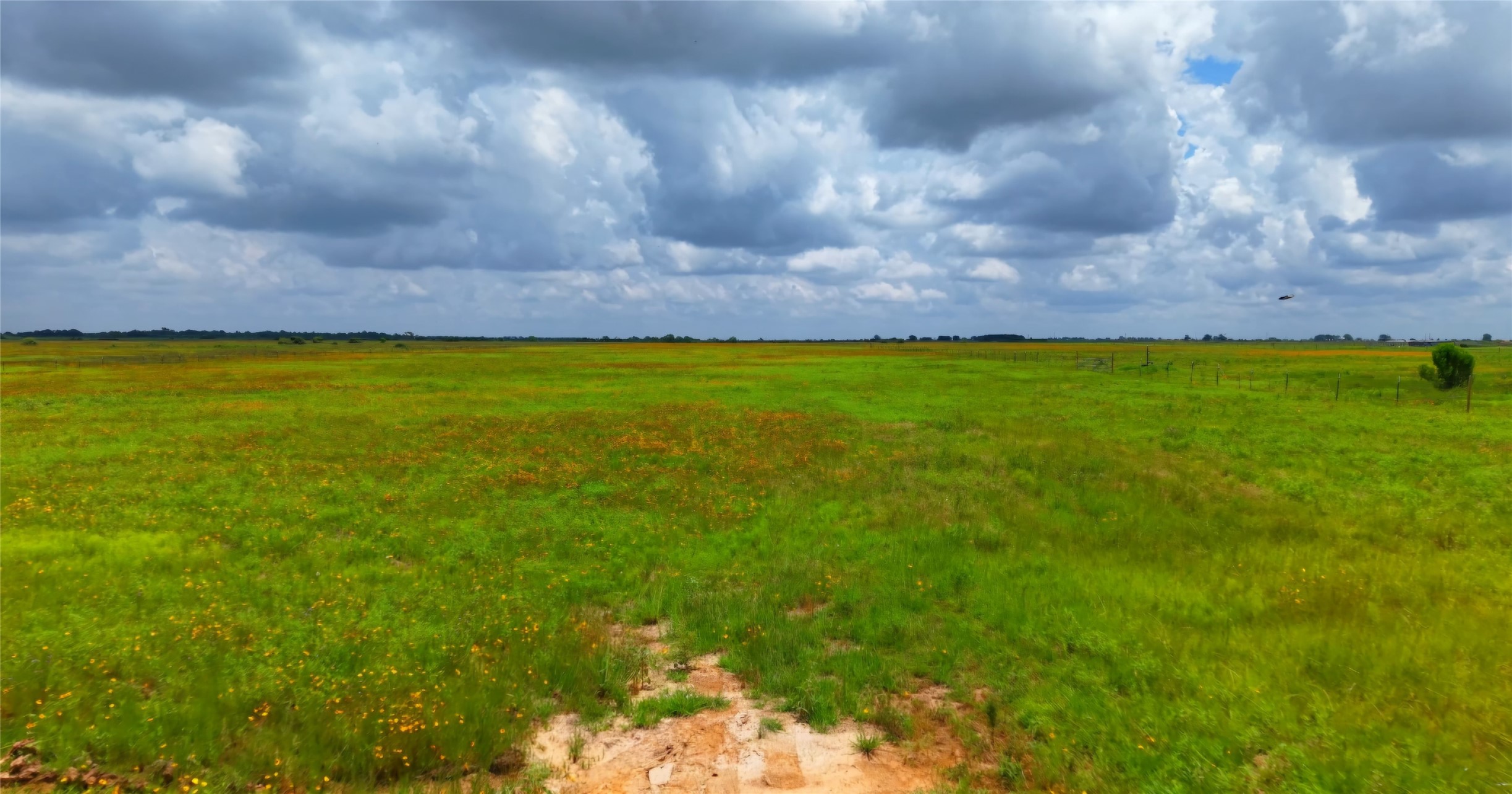 1087 Cr 141 Road Rock Island, TX 77470 - Photo 15 of 18