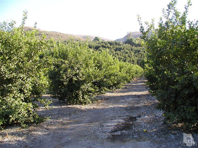 0 South Mountain Road Fillmore, CA 93015 - Photo 2 of 5 Additional Photo