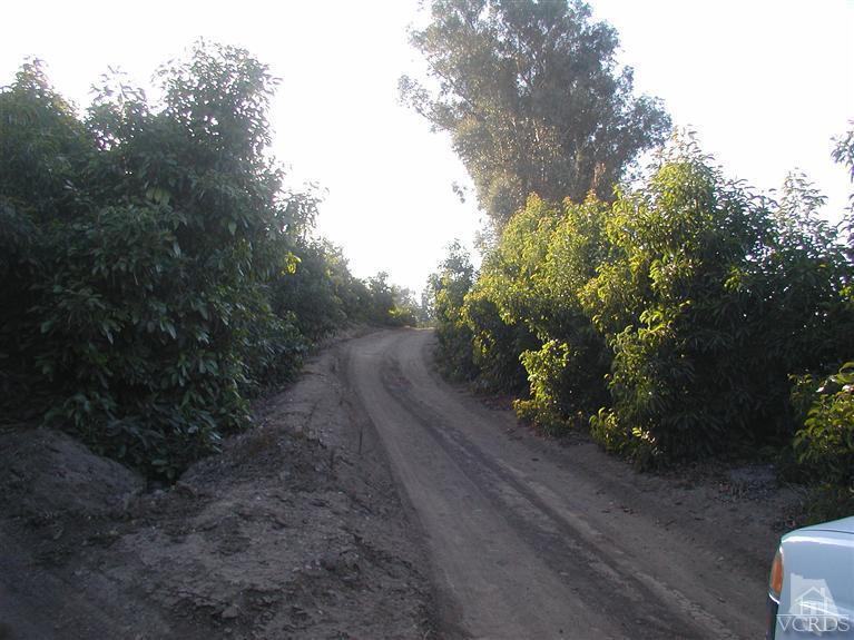 0 South Mountain Road Fillmore, CA 93015 - Photo 3 of 5 Additional Photo
