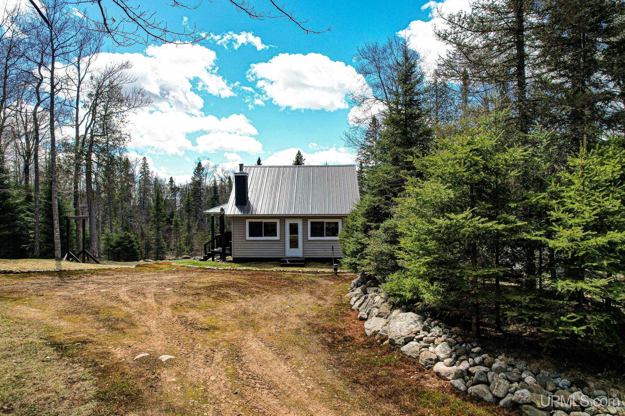 Tbd Cut Across Road Michigamme, MI 49861 - Photo 21 of 31