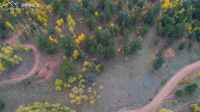 571 Beaver Pond Road Divide, CO 80814 - Photo 11 of 13 Gallery Image 11