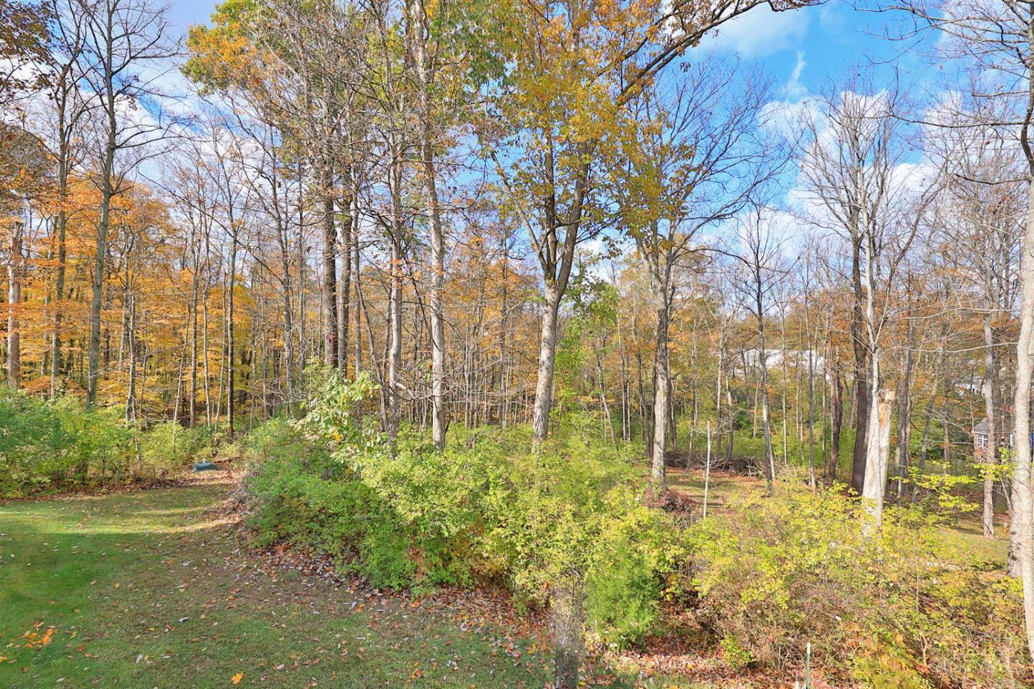 7365 Drake Road Cincinnati, OH 45243 - Photo 43 of 49 Gallery Image 43