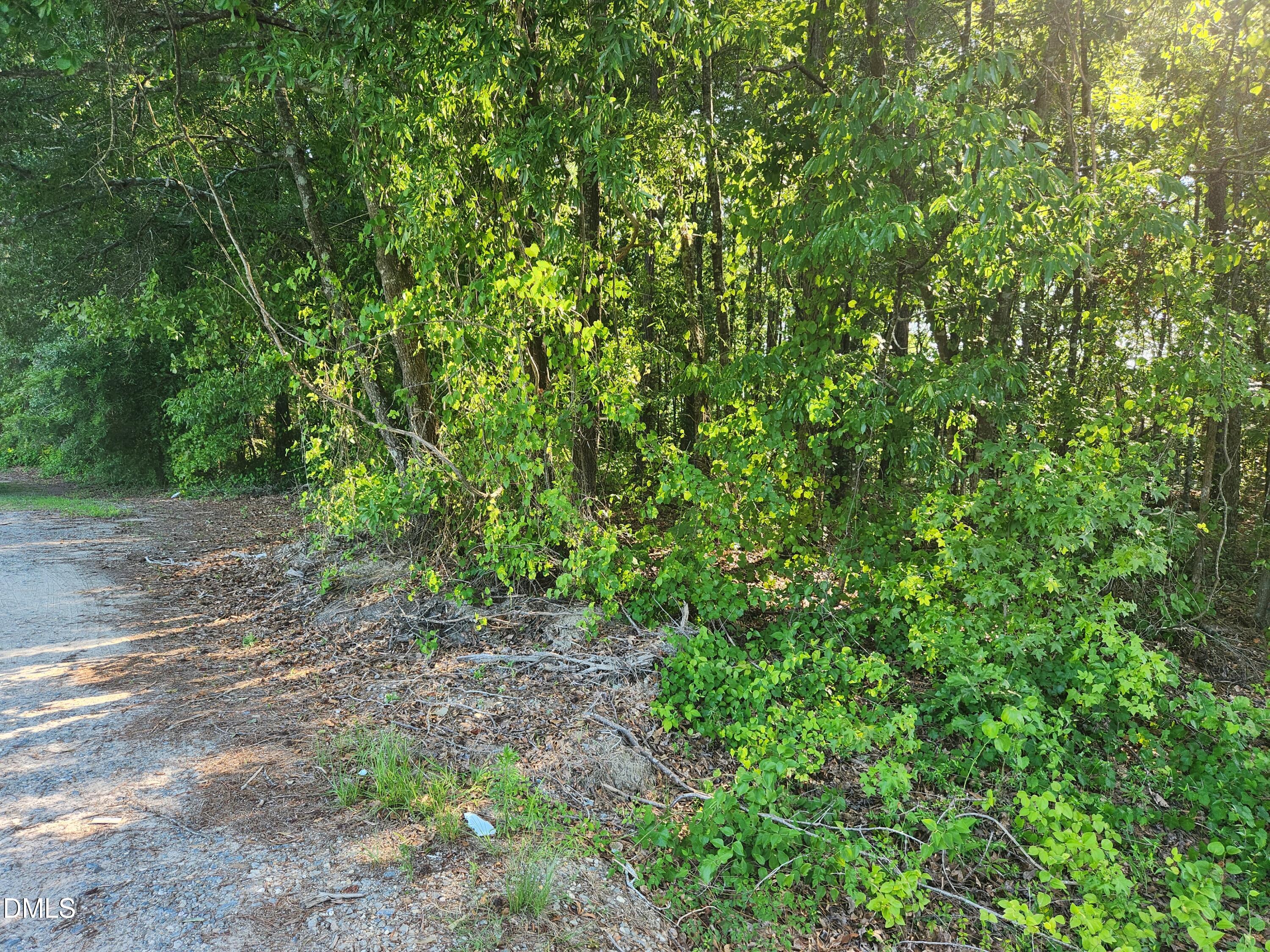 995 B Barbour Road Smithfield, NC 27577 - Photo 4 of 8 1000006917