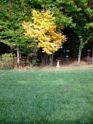 $479,000 | 74 Macintosh Lane, Unit 74, Old Orchard Beach, ME 04064