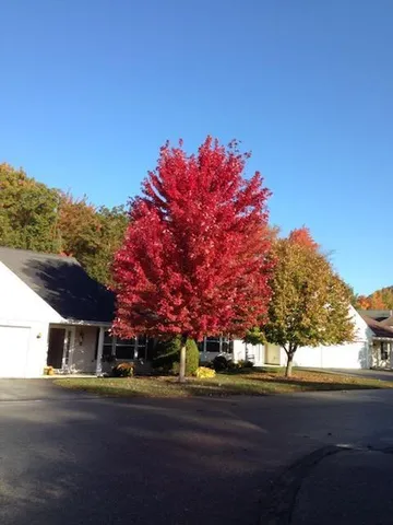 $479,000 | 74 Macintosh Lane, Unit 74, Old Orchard Beach, ME 04064