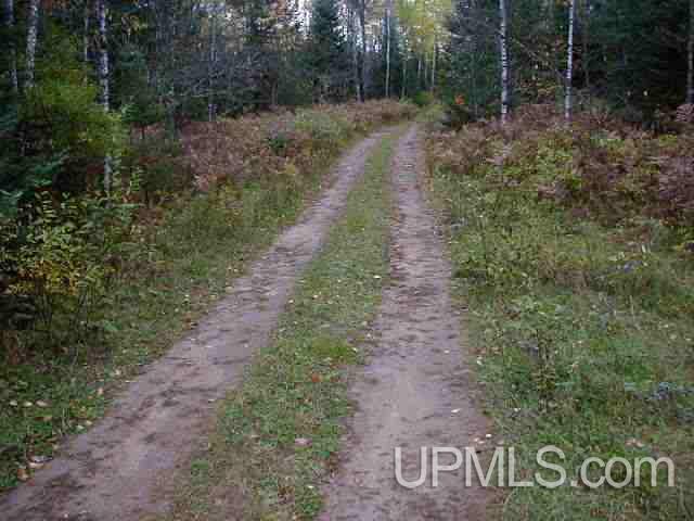40-ac Swan Road Amasa, MI 49903 - Photo 2 of 9
