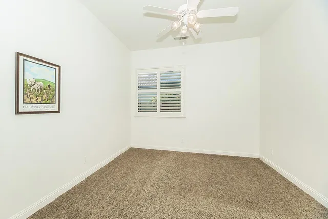 a view of a yard with plants and large trees