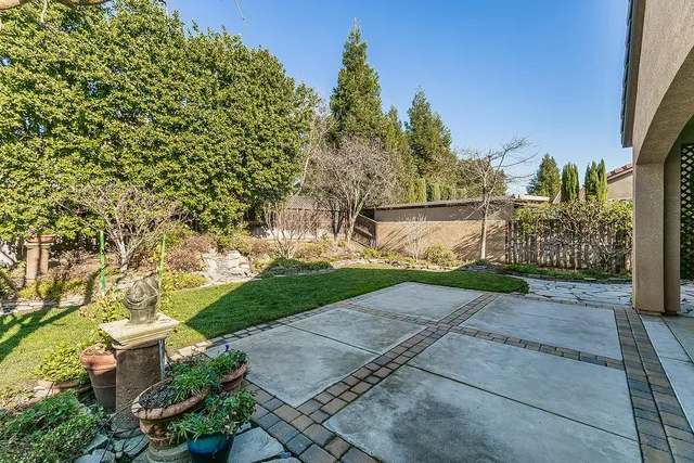 a view of a yard with plants