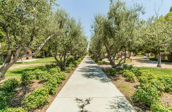 $700,000 | 3725 Everglade Avenue, Clovis, CA 93619