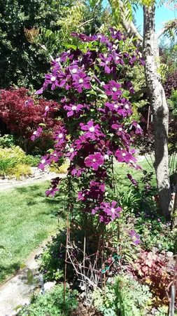 $700,000 | 3725 Everglade Avenue, Clovis, CA 93619