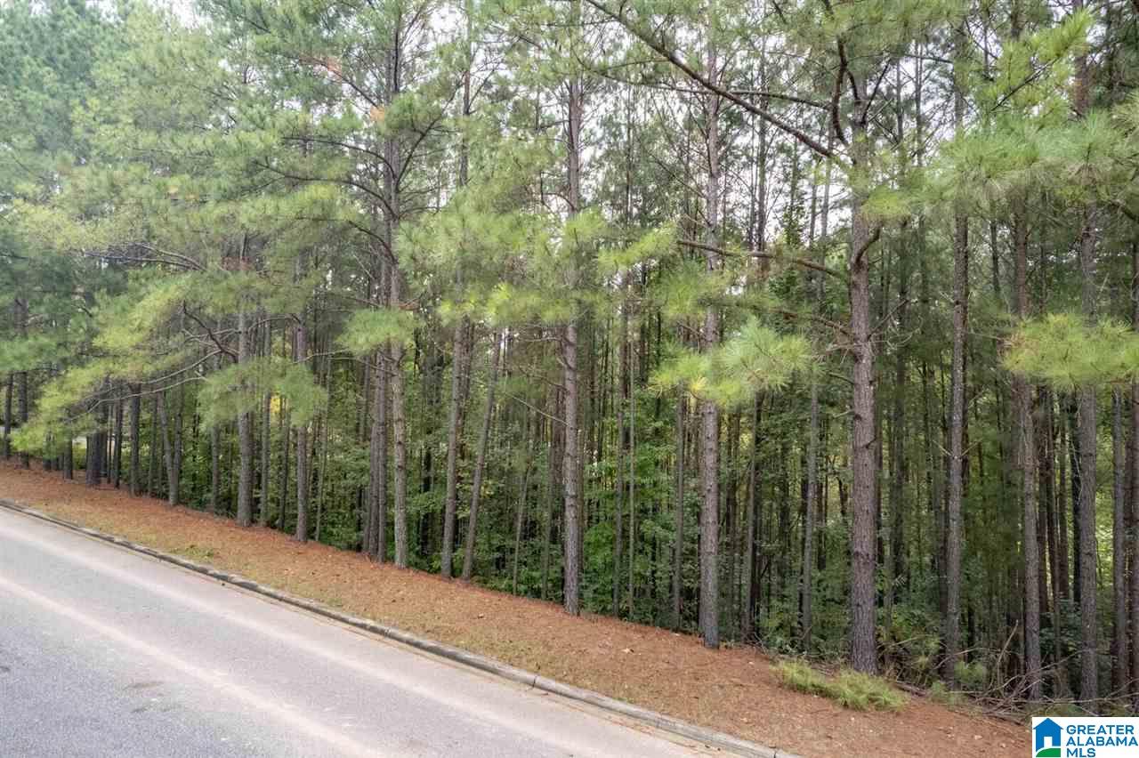 8048 Castlehill Road, Unit 8 Birmingham, AL 35242 - Photo 11 of 12