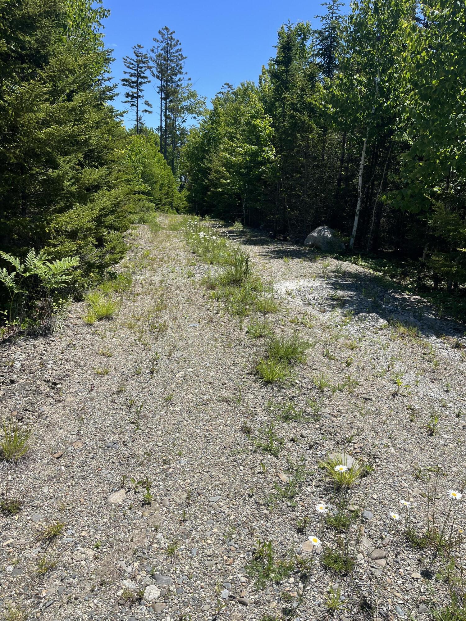 35 Peninsula Shore Road Gouldsboro, ME 04624 - Photo 14 of 26