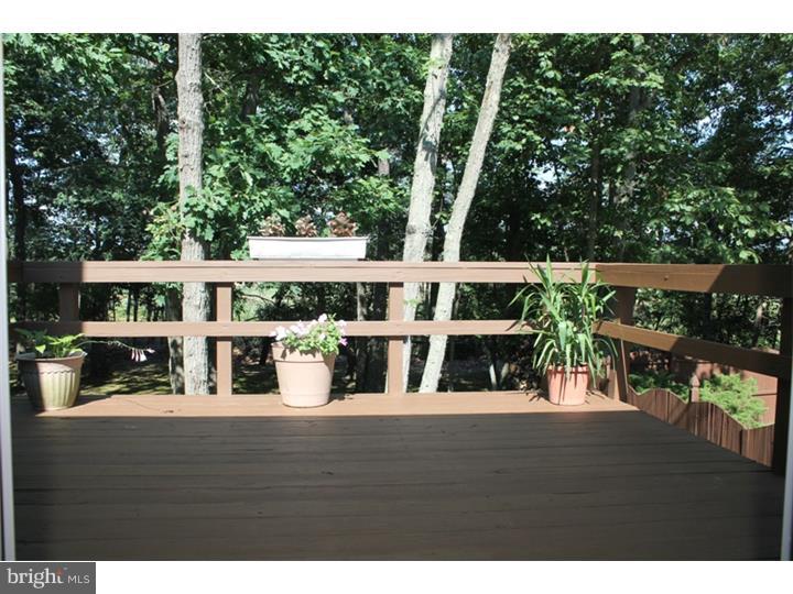 354 Pricketts Mill Road Tabernacle, NJ 08088 - Photo 10 of 25 Deck