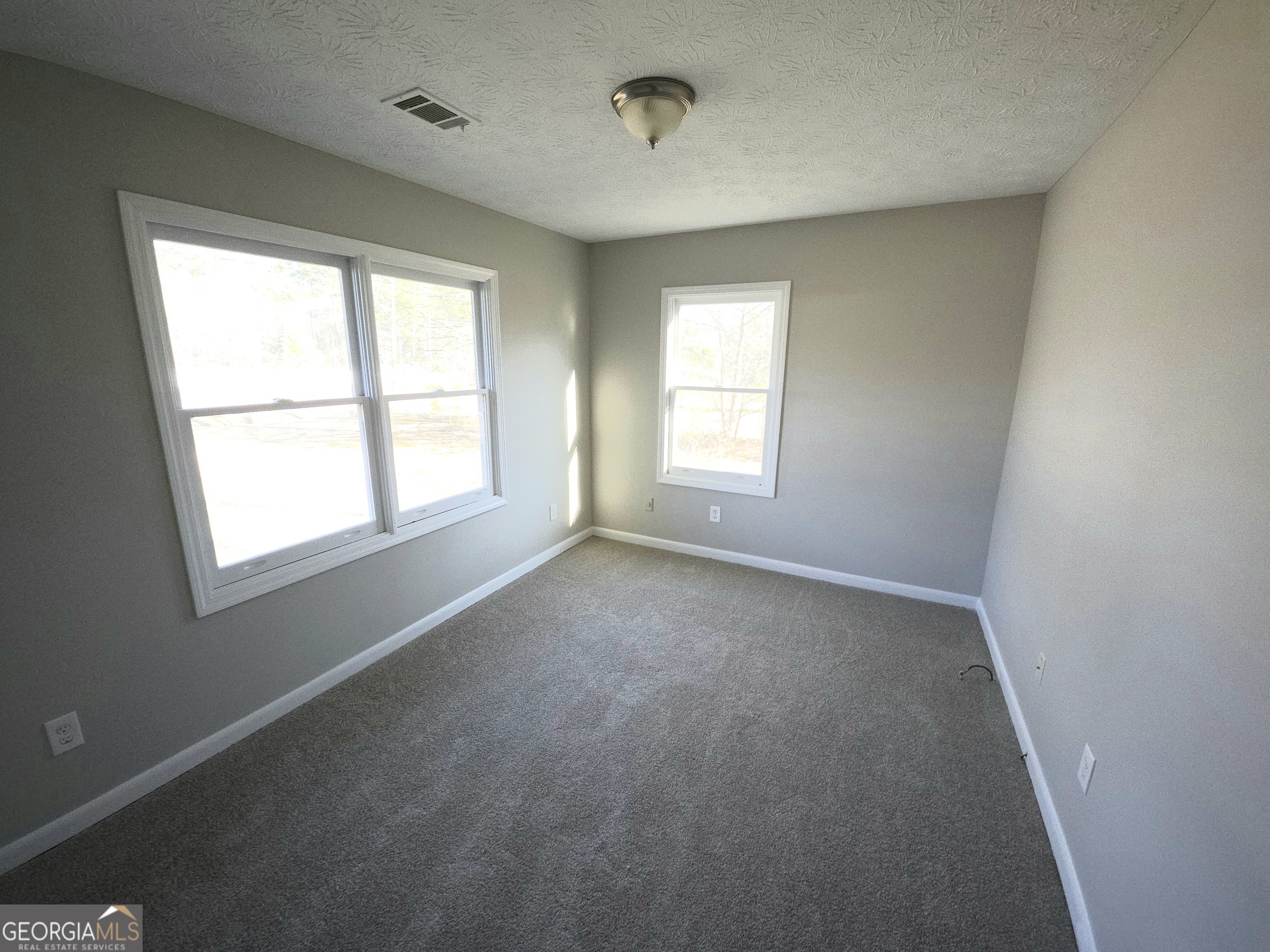 2462 Sharpsburg McCollum Road Newnan, GA 30265 - Photo 3 of 7