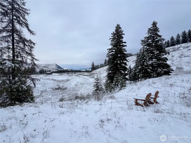 a view of a backyard of a house