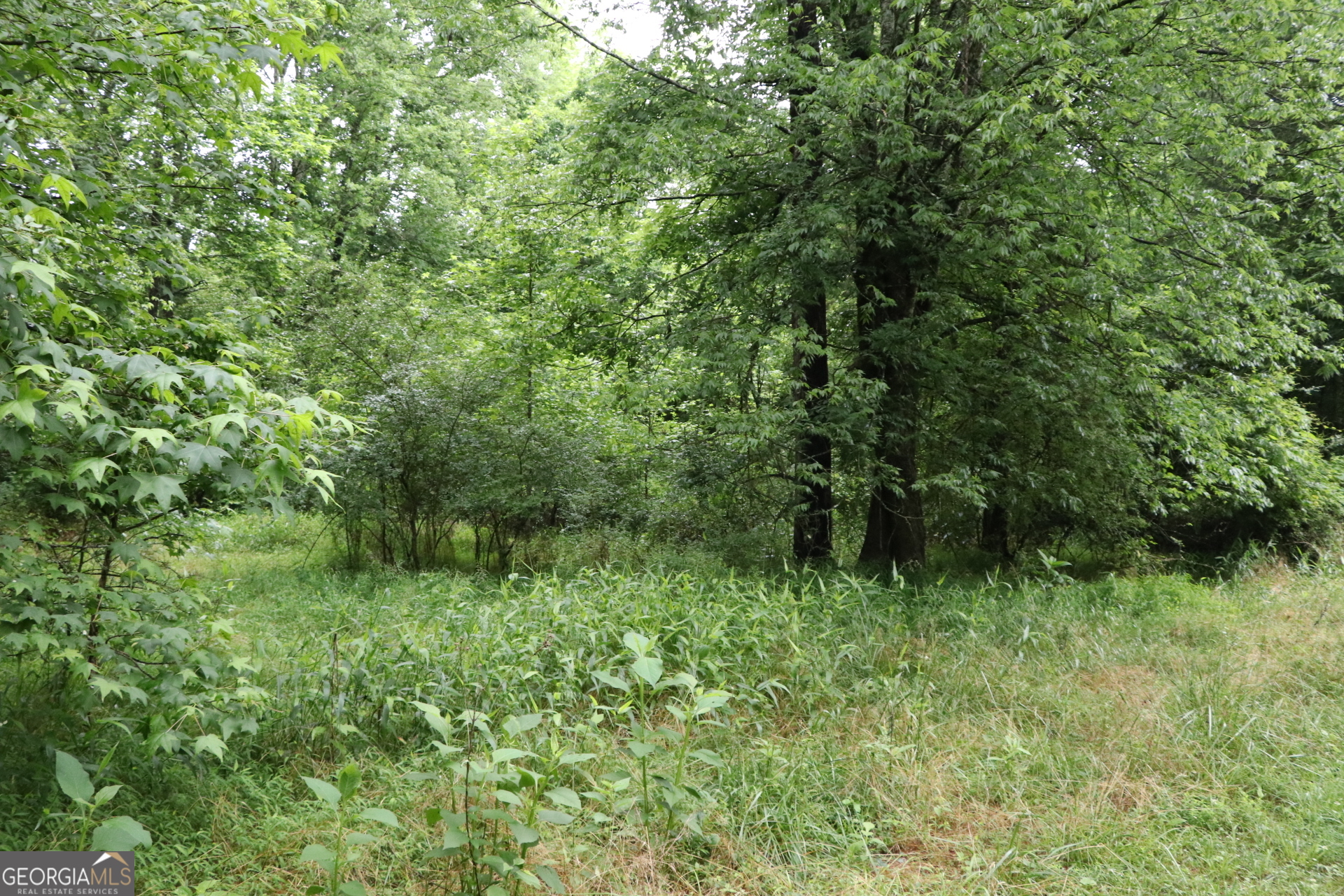833 Neal Gap Road Summerville, GA 30747 - Photo 27 of 86