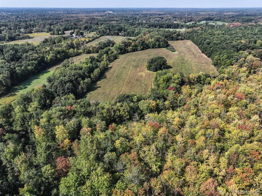 0 Nollar Road Whitmore Lake, MI 48178 - Photo 21 of 28