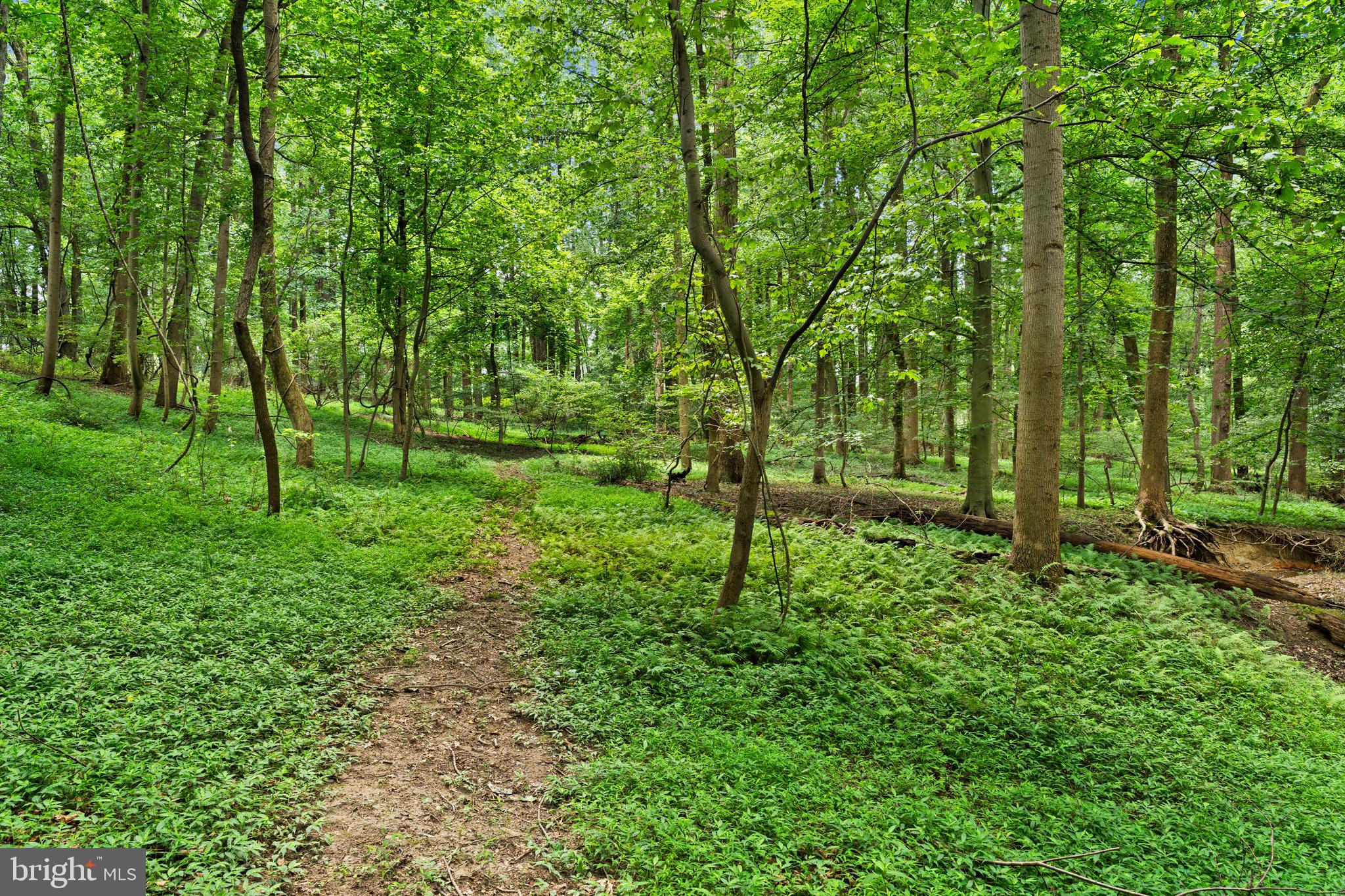 3320 Offutt Road Randallstown, MD 21133 - Photo 11 of 23